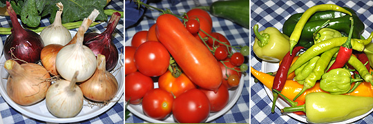 Farmářské trhy ve Varnsdorfu